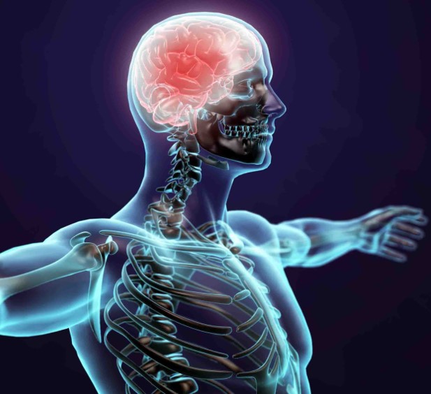 Top clinical trial updates from AAN 2021: MG, PD & ALS