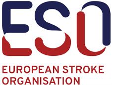European Stroke Organisation image